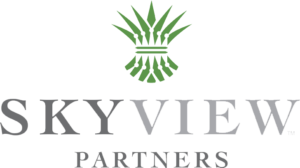 Image of SkyView logo
